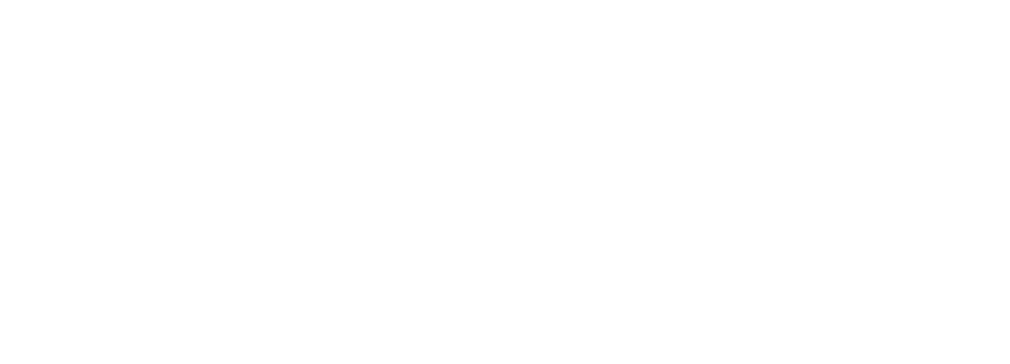 fies-icone